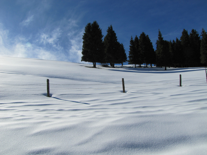 沙沟划野雪 157.JPG