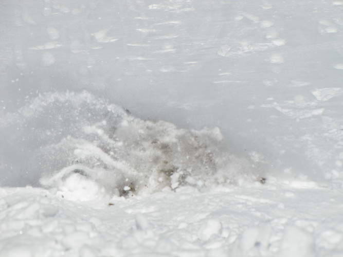 沙沟滑野雪0022.jpg