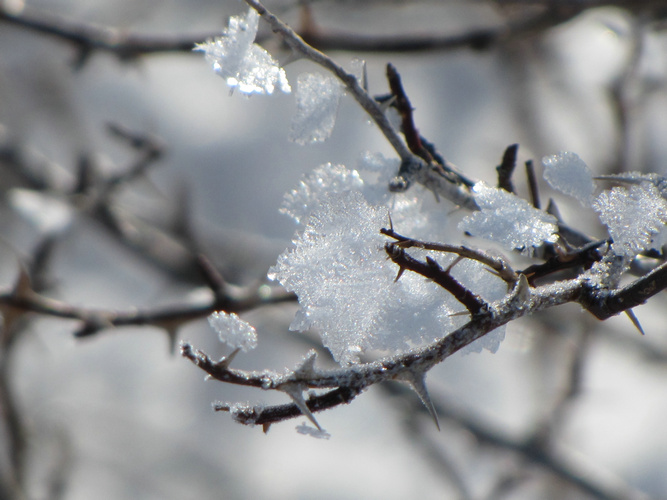 2011.2.26沙沟滑野雪 035.JPG