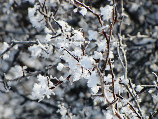 2011.2.26沙沟滑野雪 039.JPG