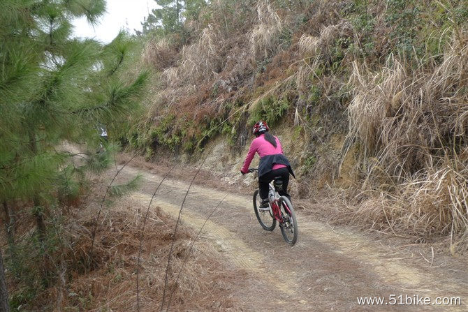 骑行在松针路上