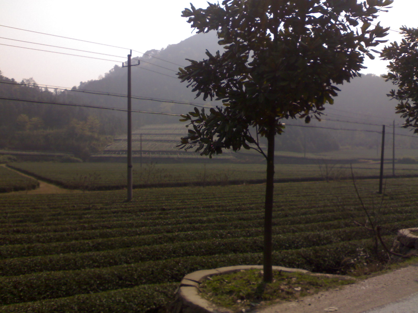 20110313443.jpg