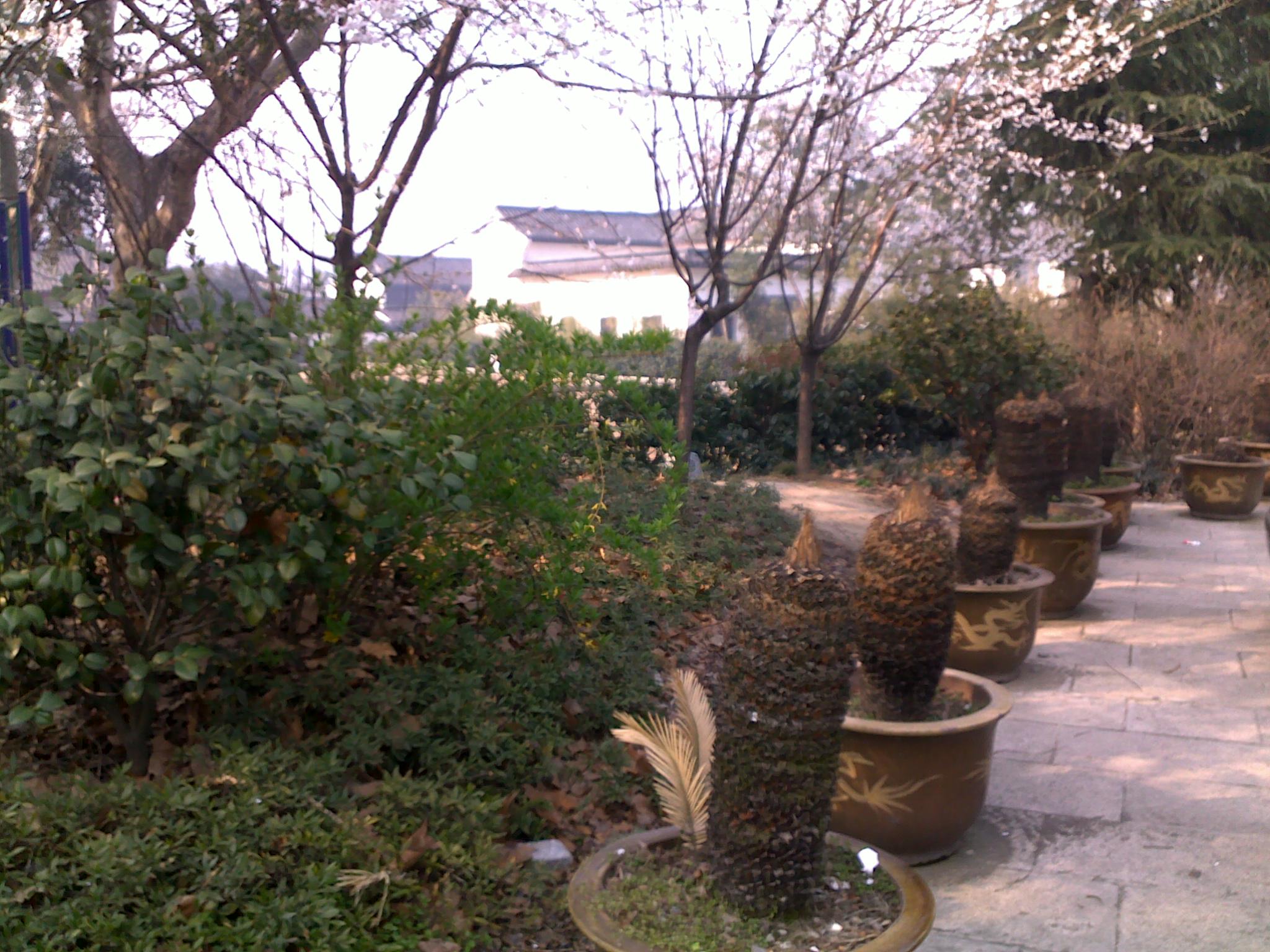 20110331377.jpg