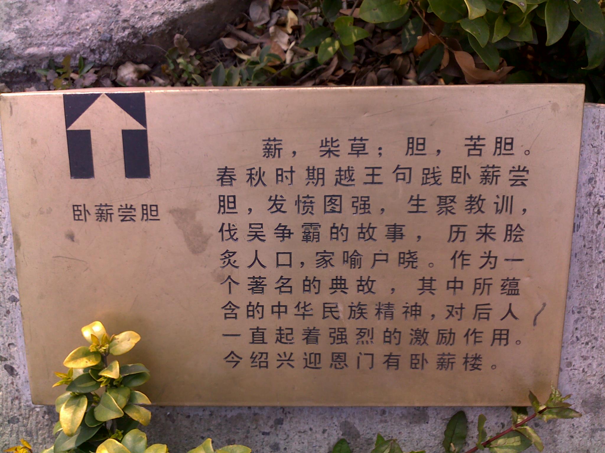 20110331384.jpg