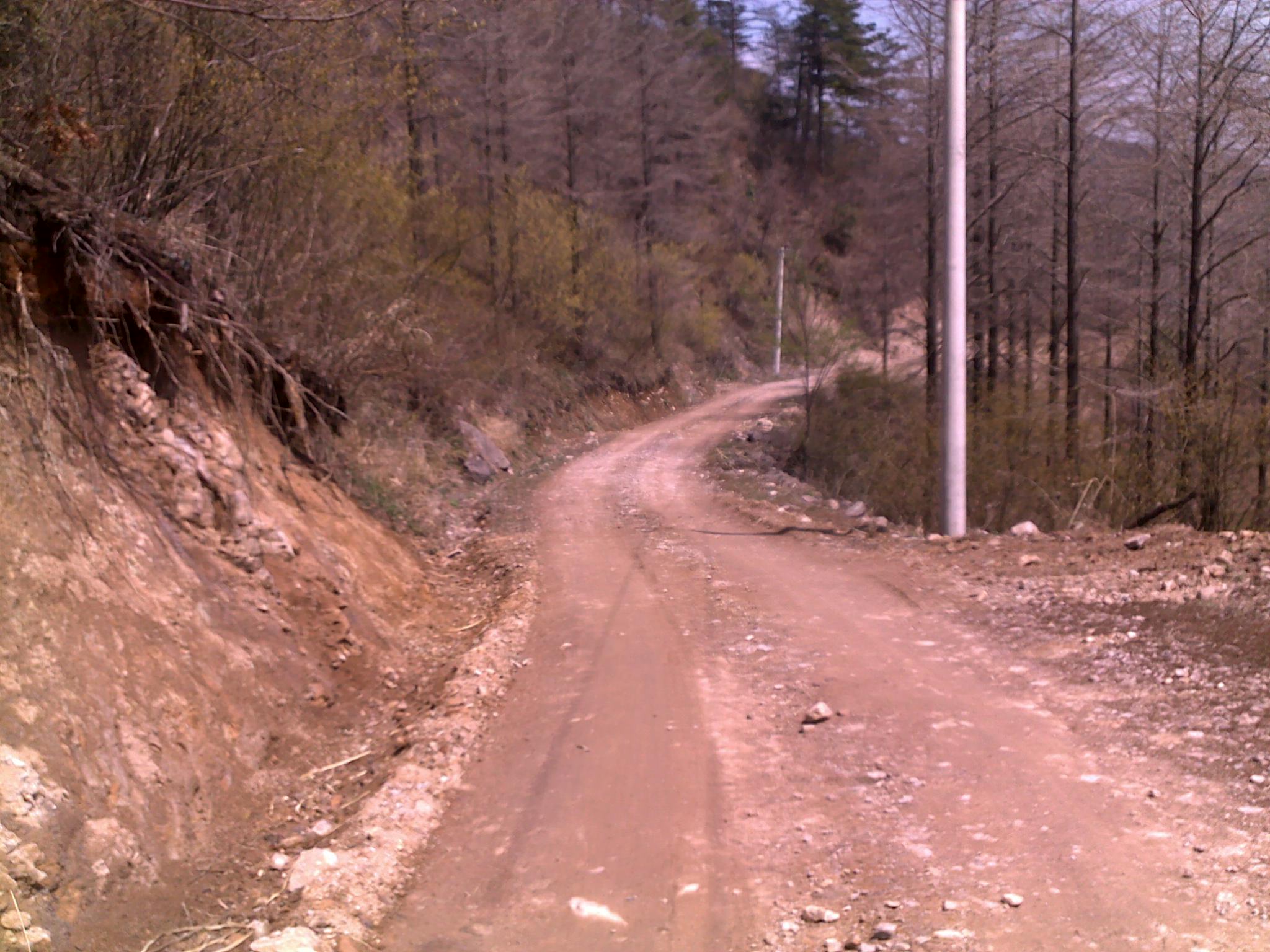 20110405470.jpg