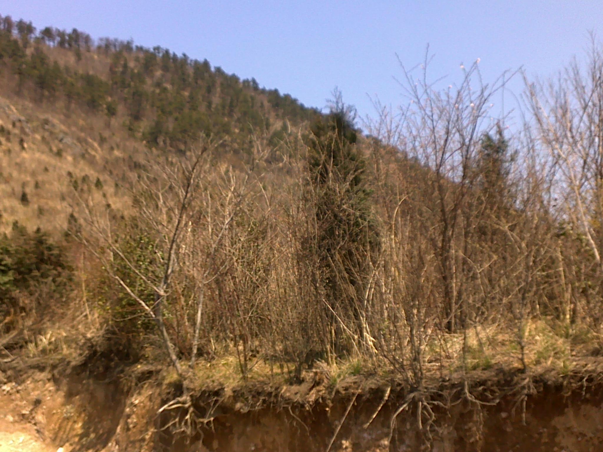 20110405494.jpg