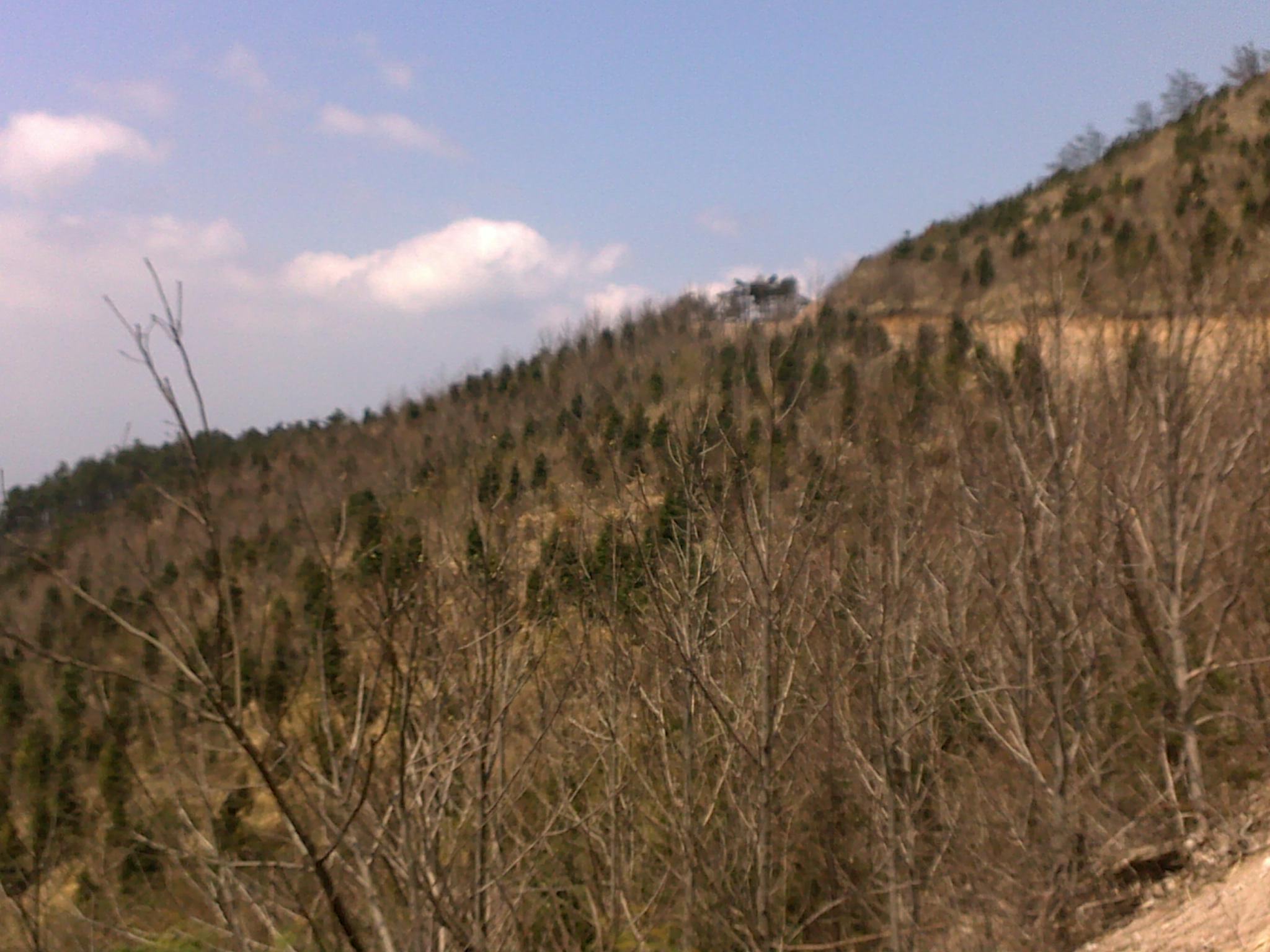 20110405496.jpg