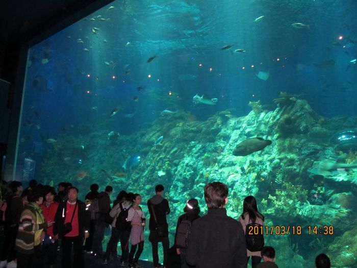 香港海底世界