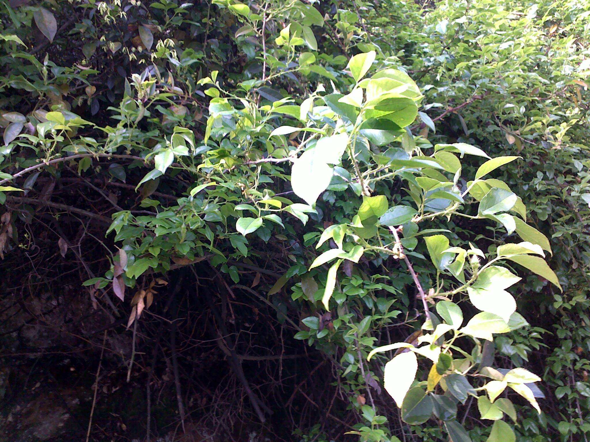 20110417563.jpg