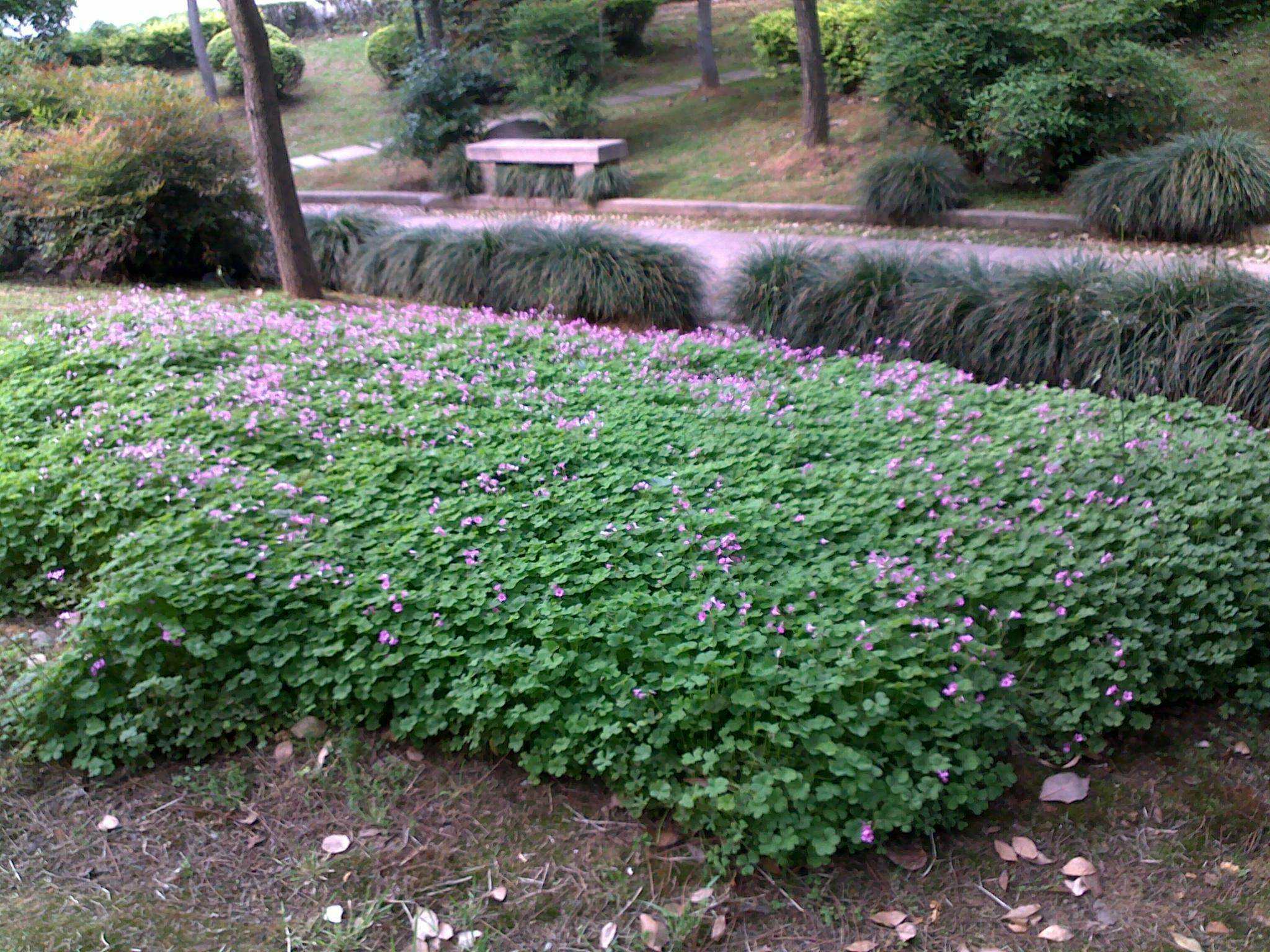 20110501621.jpg