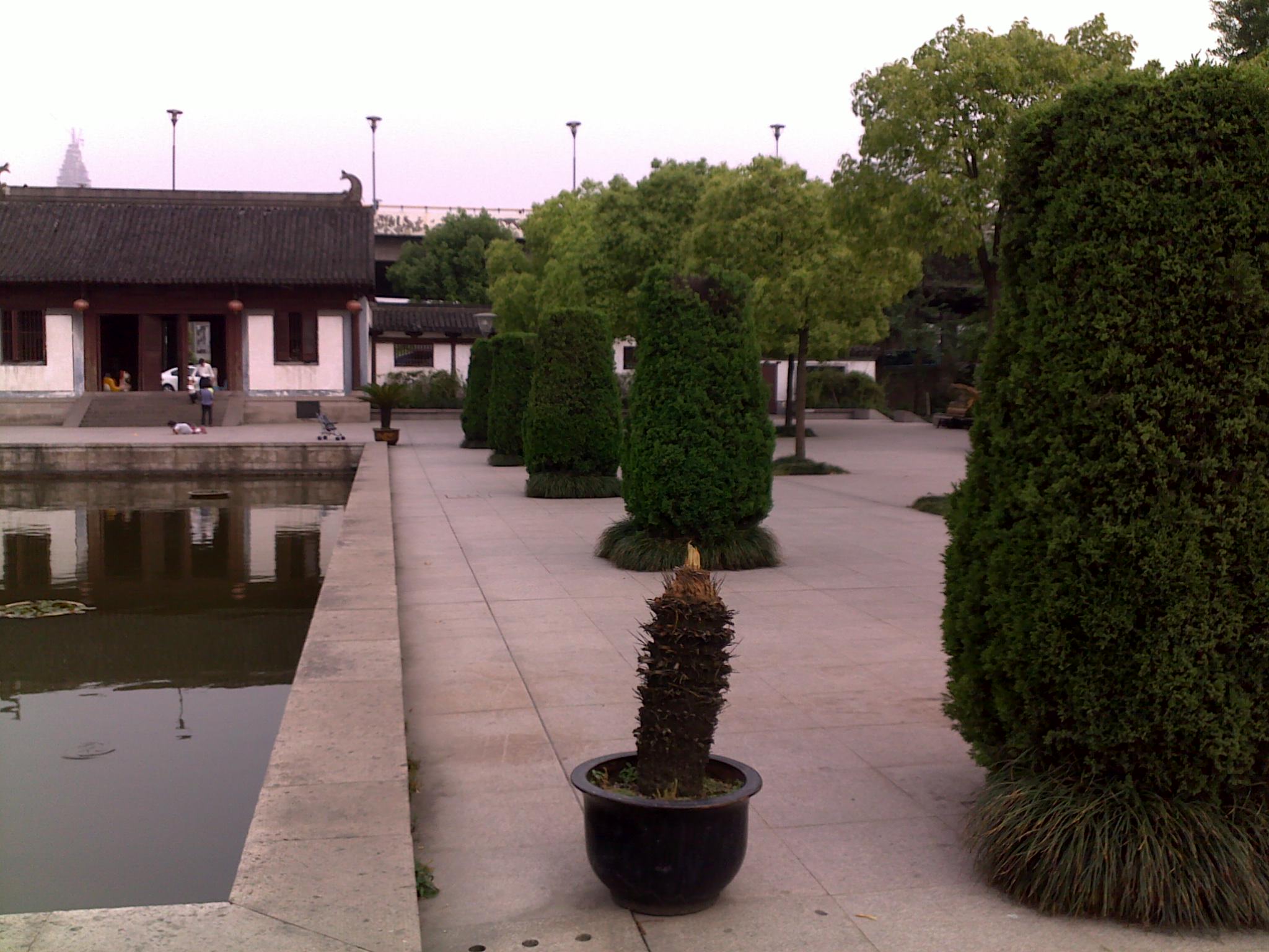 20110501629.jpg