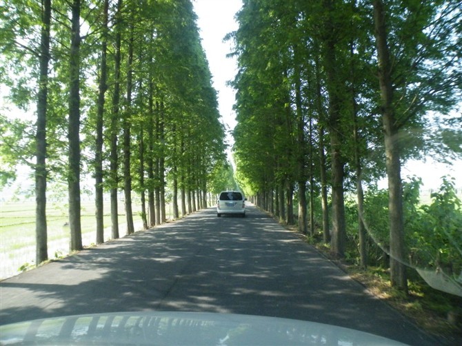 回来的风景