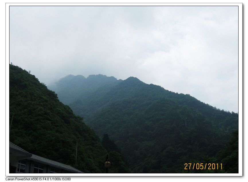 nEO_IMG_安吉龙王山2011.5.27.- 007.jpg