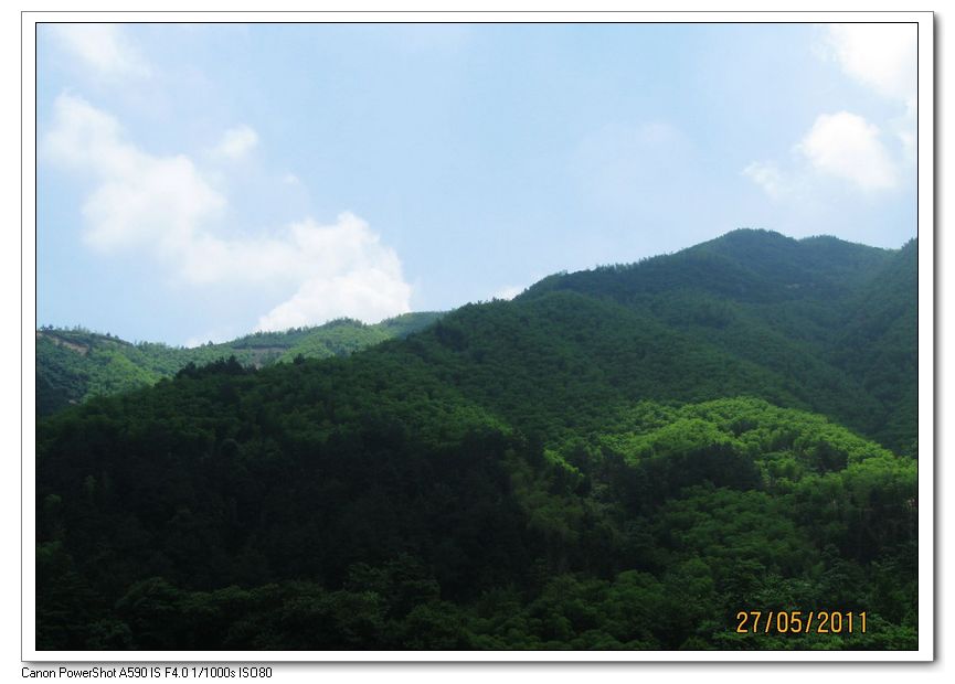 nEO_IMG_安吉龙王山2011.5.27.- 014.jpg