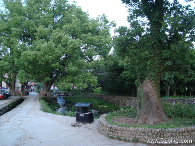 2011-05-13-245-黄山~婺源-李坑.JPG