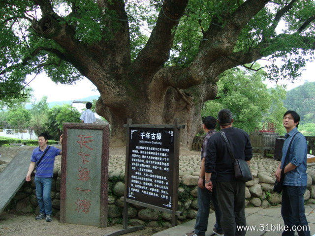 2011-05-14-333-婺源~赋春-严田.JPG