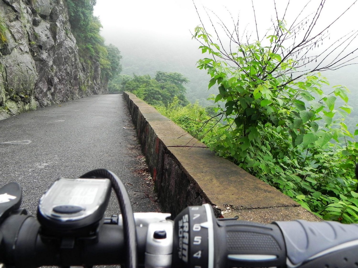 空山新雨后