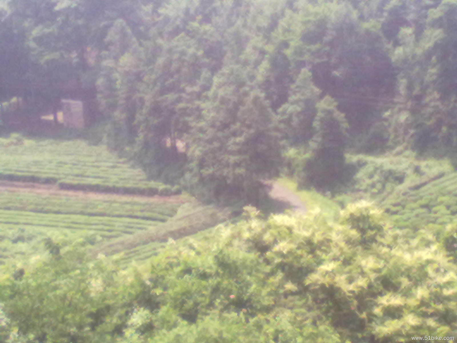 20110608031.jpg