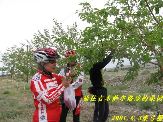 2011.6.3车师古道 033.jpg