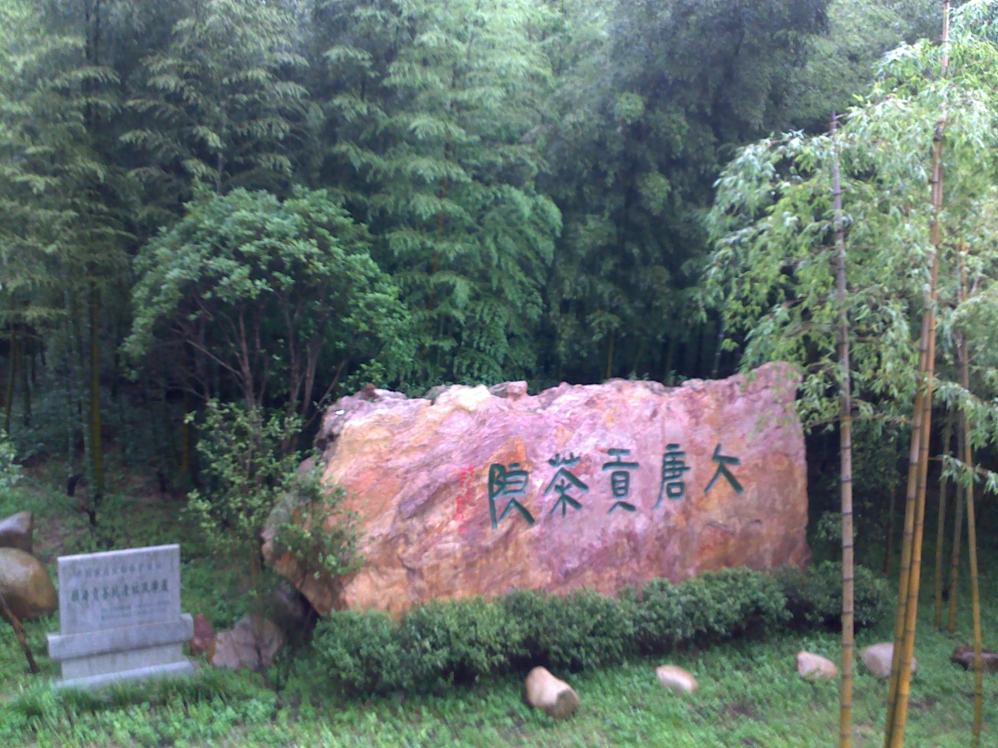 20110618820.jpg