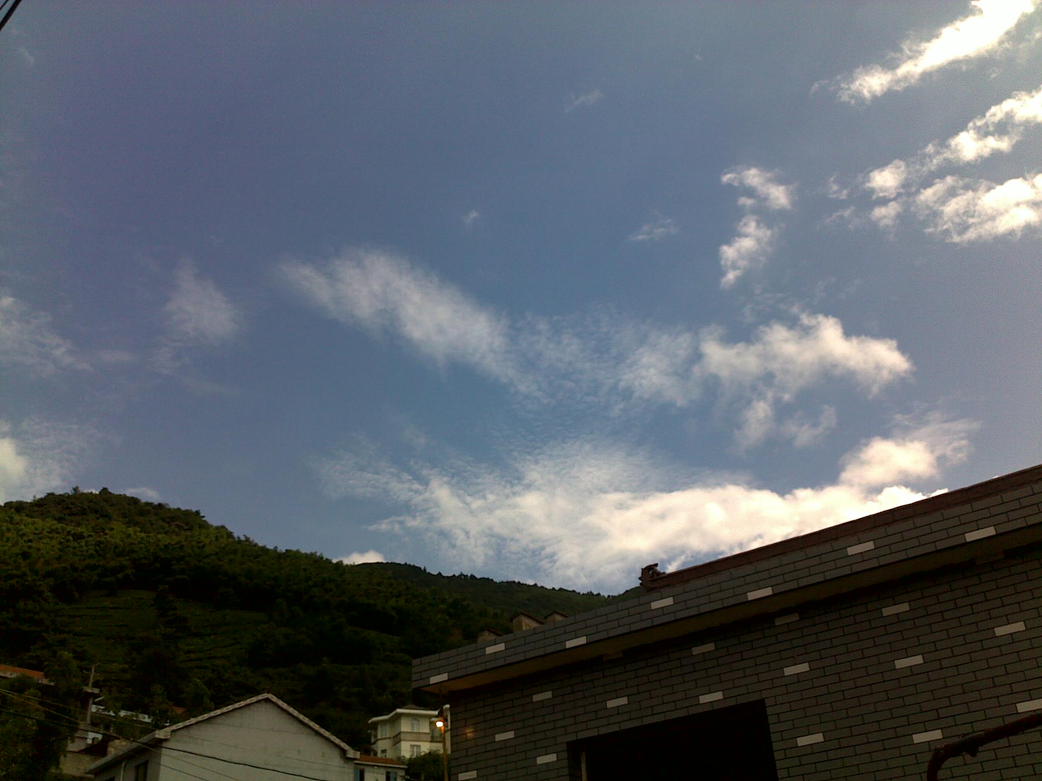 20110828927.jpg