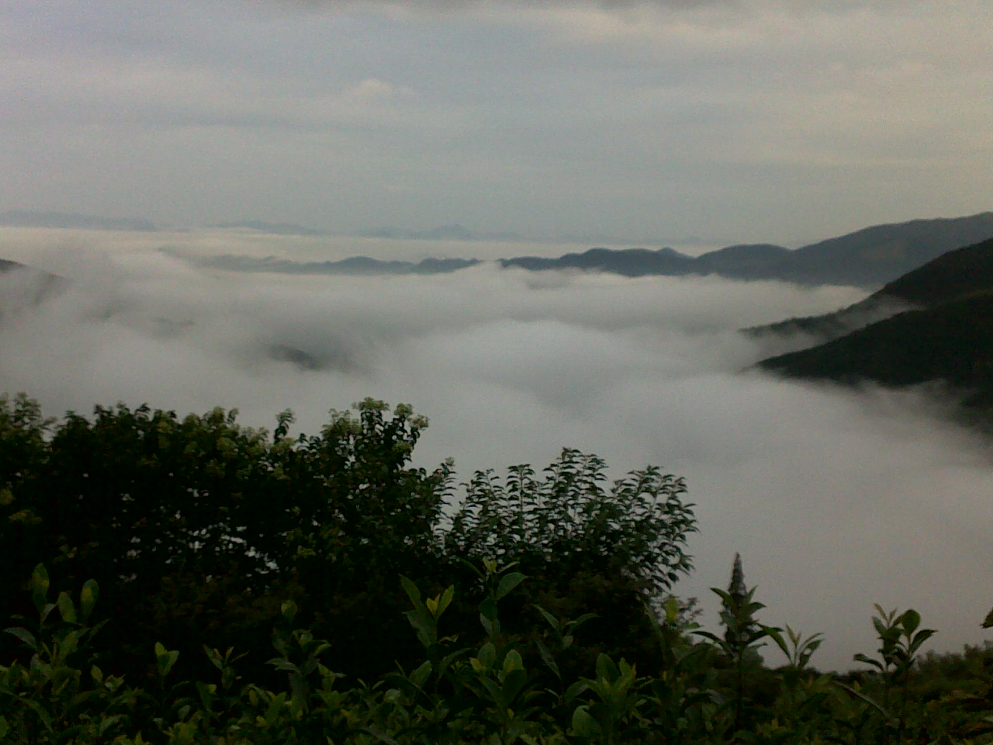 20110828917.jpg