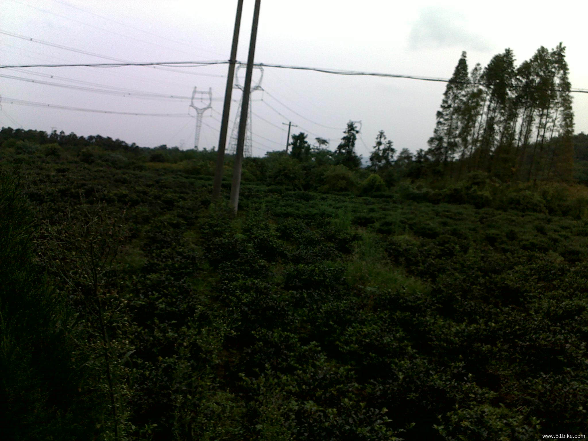 20111003064.jpg