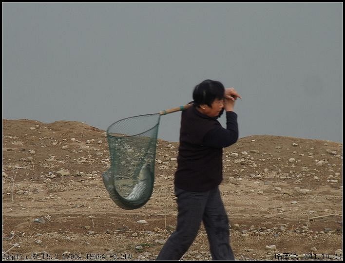 老太太凯旋而归