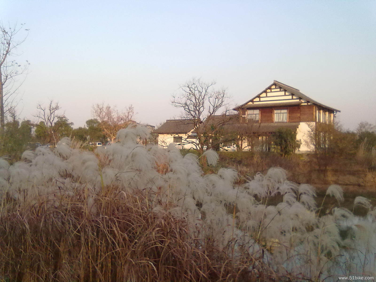 20111210763.jpg