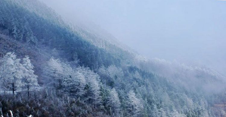 北-四明山的雪.jpg
