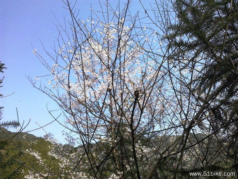 20120324162_副本.jpg