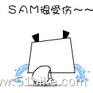 SAM语录－受伤～.gif