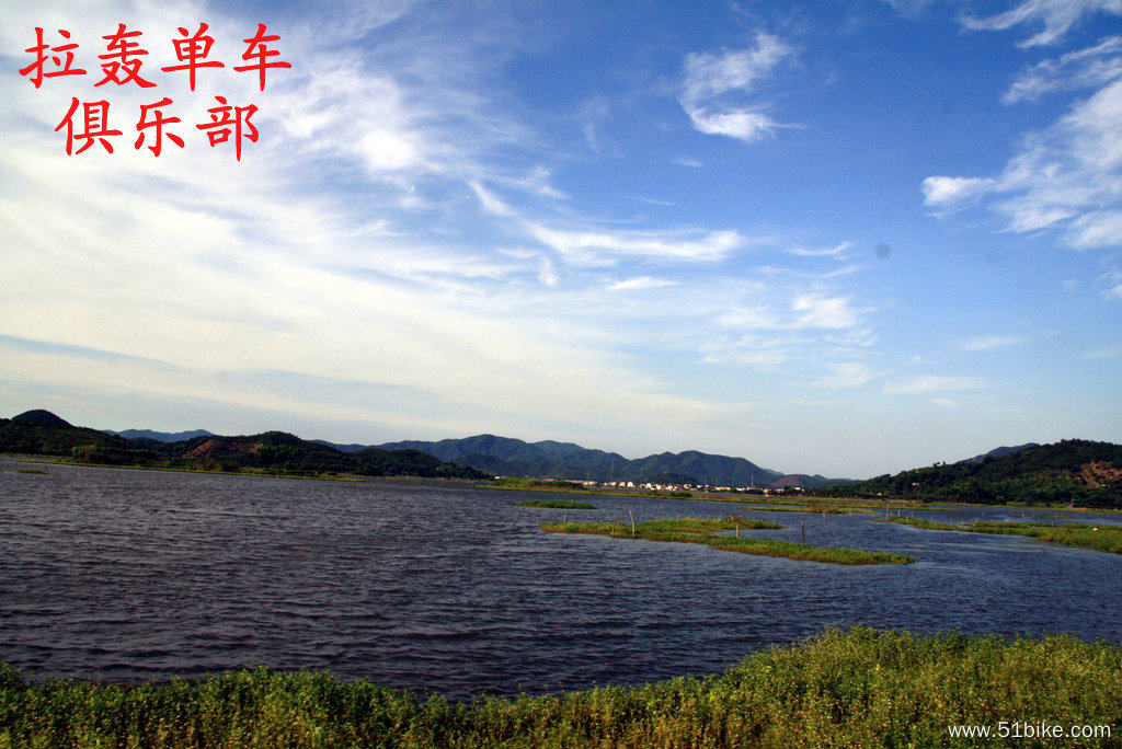 28皂李湖美景.jpg