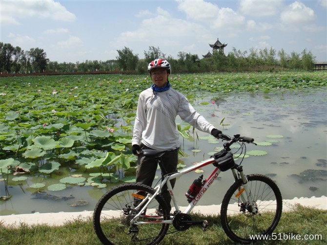 青格达湖的荷花_5.jpg