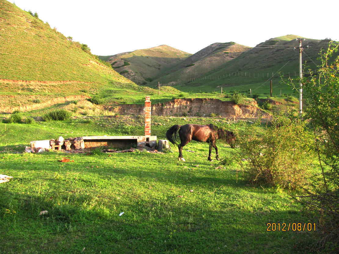 2012.08.01南山沙沟 009.jpg