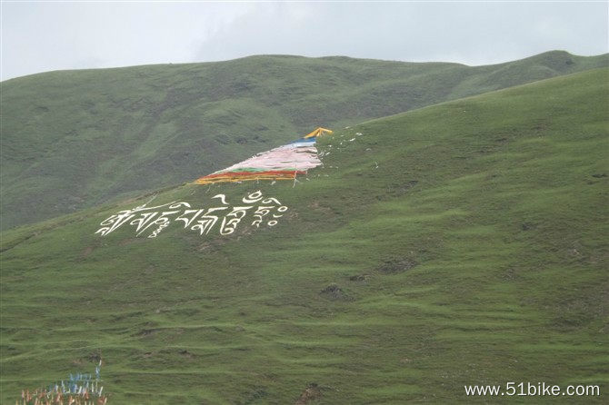 这风景