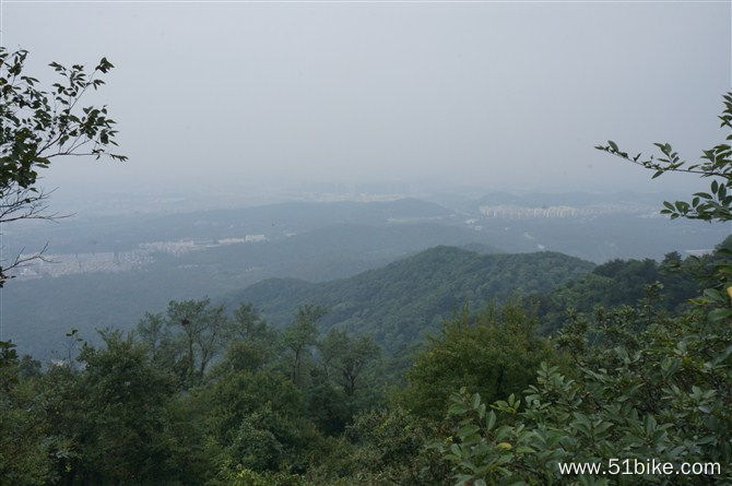 紫荆山山顶看南京城.jpg