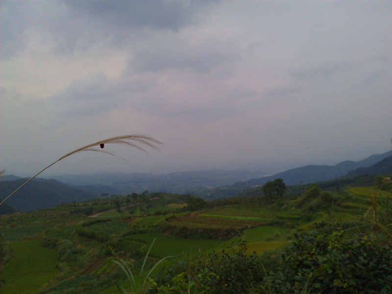 王崇沿途美景201209151.jpg