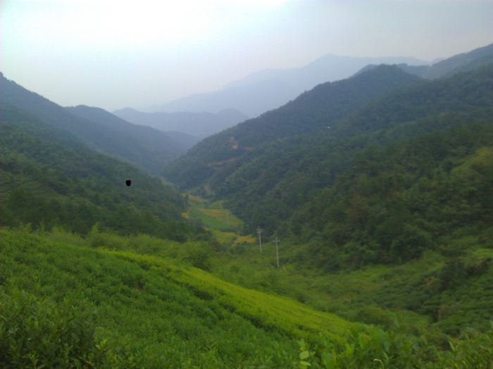 王崇线美景201209151.jpg