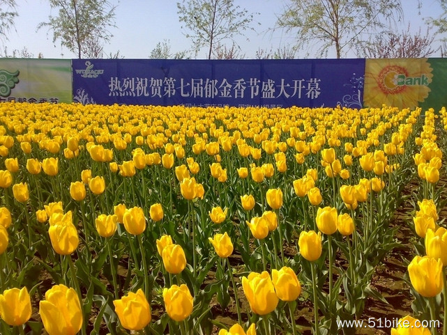 201204301010.jpg