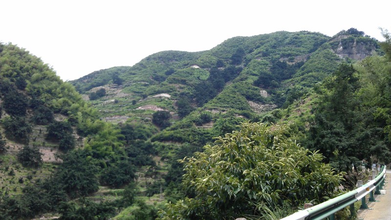 就是这条盘山路.jpg