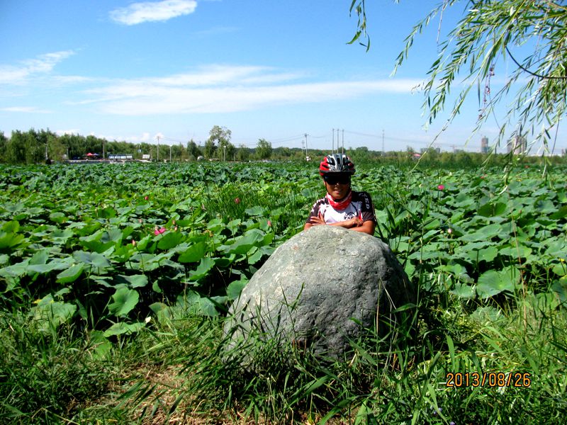 13.08.26五家渠赏荷花 039.jpg