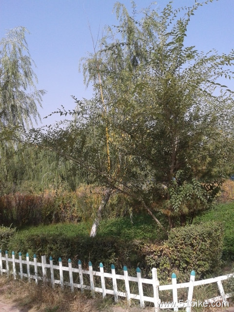 20131002_123349.jpg