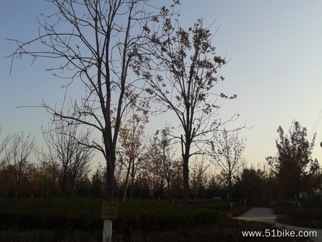 20131025_095000.jpg