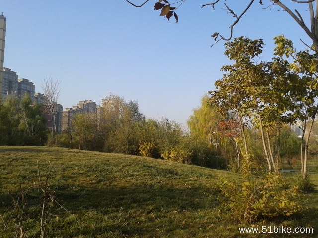 20131025_100644.jpg