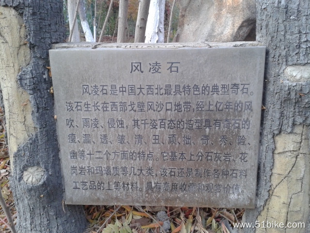 20131105_095005.jpg