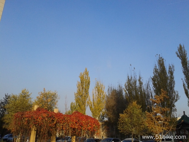 20131105_101140.jpg