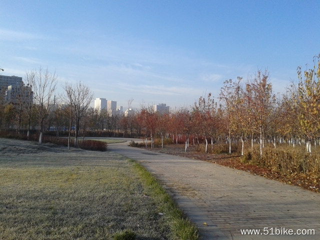 20131107_101434.jpg