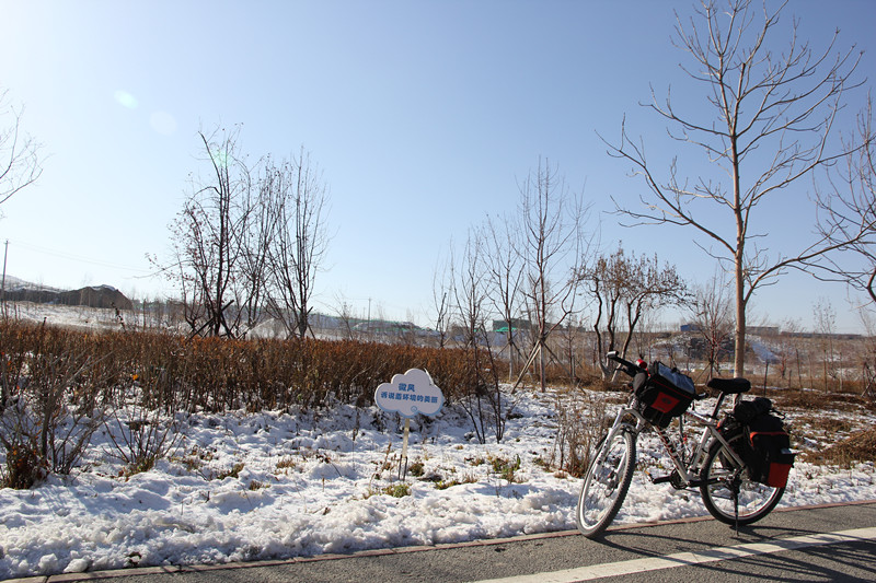 路边雪景