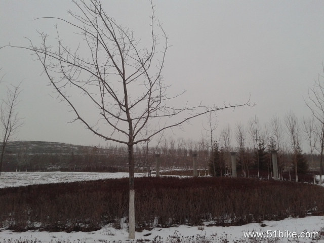 20131213_100811.jpg